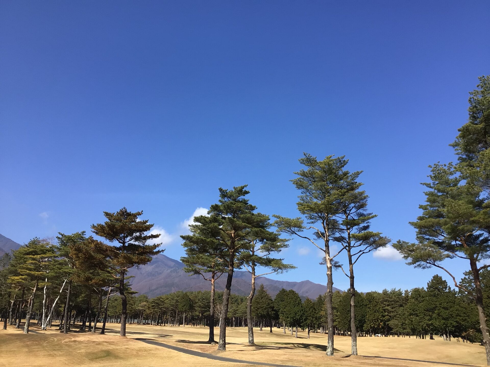 信州産伊那谷