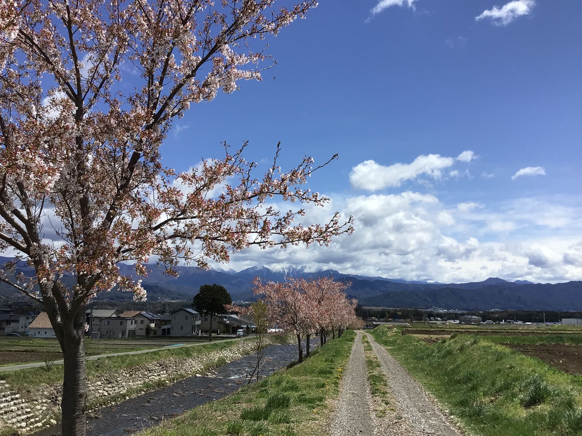 自然素材
