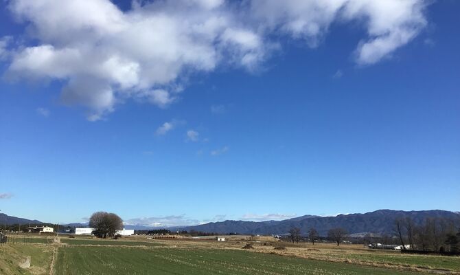 動物由来